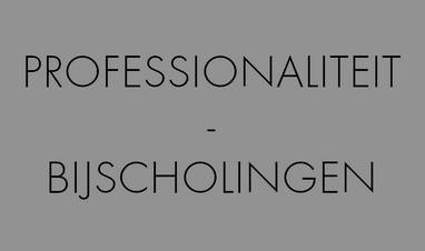 PROFESSIONALITEIT.png